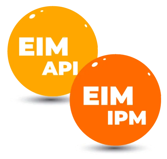 EIM_Intro