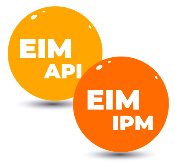 EIM_Intro
